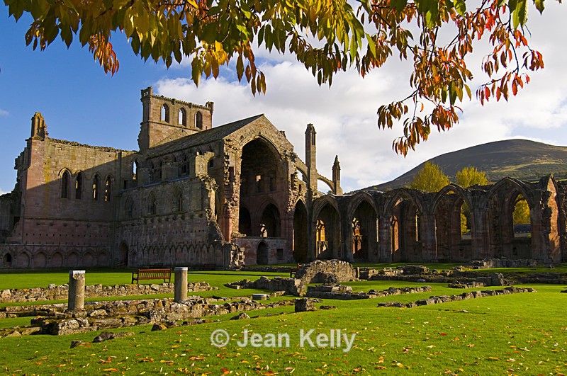 Melrose Abbey - 8860 - Scotland