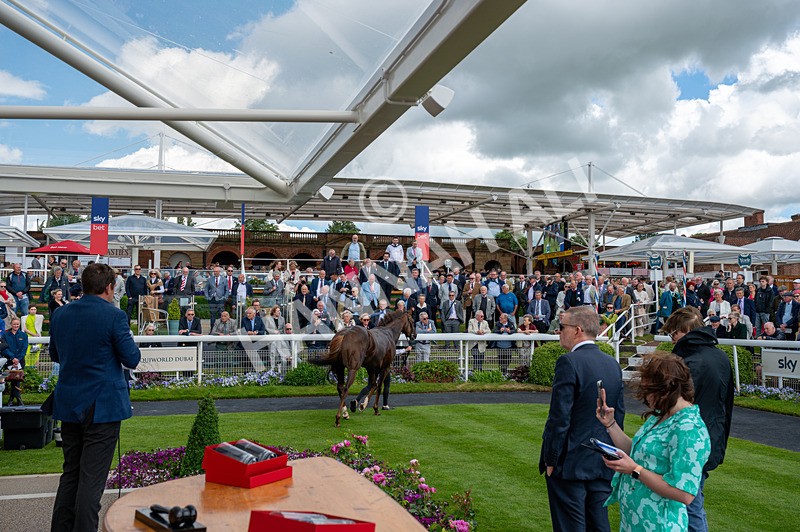 120626-Race 2-Everatease-0945 - Race 2 14.25pm Constant Security Keeping York Racegoers Safe Rous Selling Stakes
