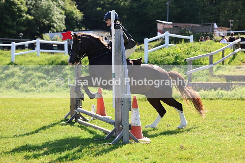 3E7A5940 - Class 27: Novice Working Hunter Pony