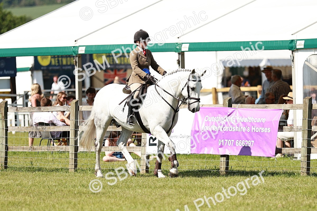 SBM_18515 - Class 112-113 - BSPS LIHS Working Sports Pony