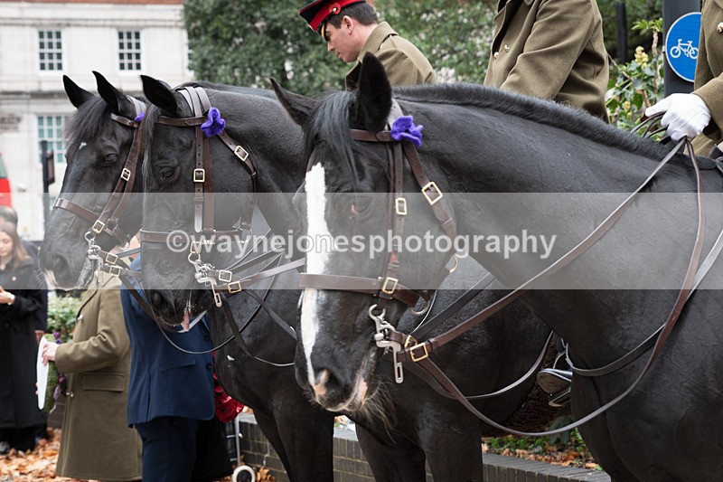 Z62_4453 - Animals In War Memorial 2025 - Park Lane, London