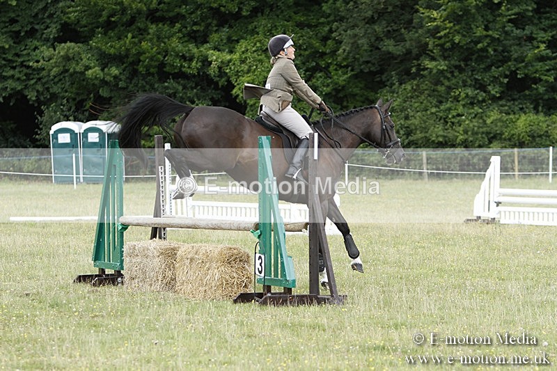 BVR160717-1755 - Ring 3 BVRC Show 16/07/17