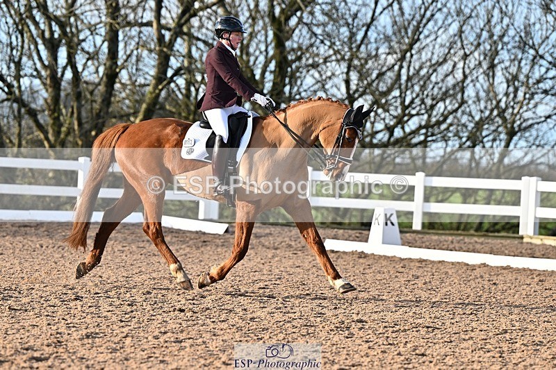 241214-142228-02812 - 112-kelly.jewell-Avalon