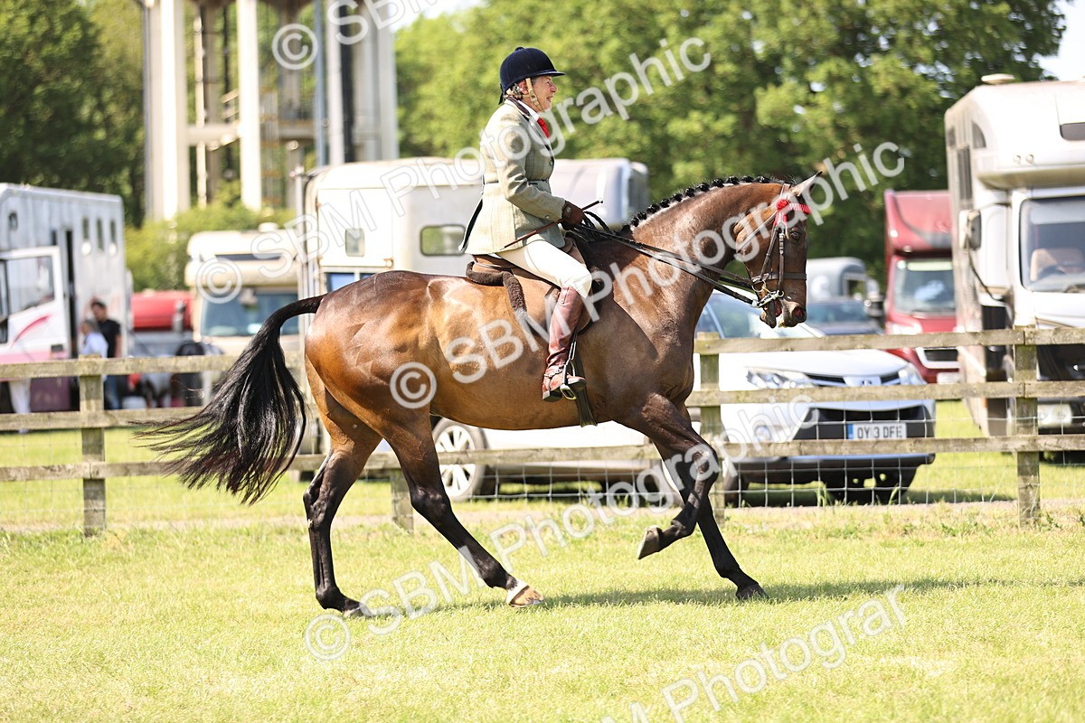 SBM_13052 - Class 75-76 LIHS BSHA Rising Star Hack Riding Horse