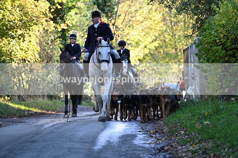 WJ7_8612 - Walk Home