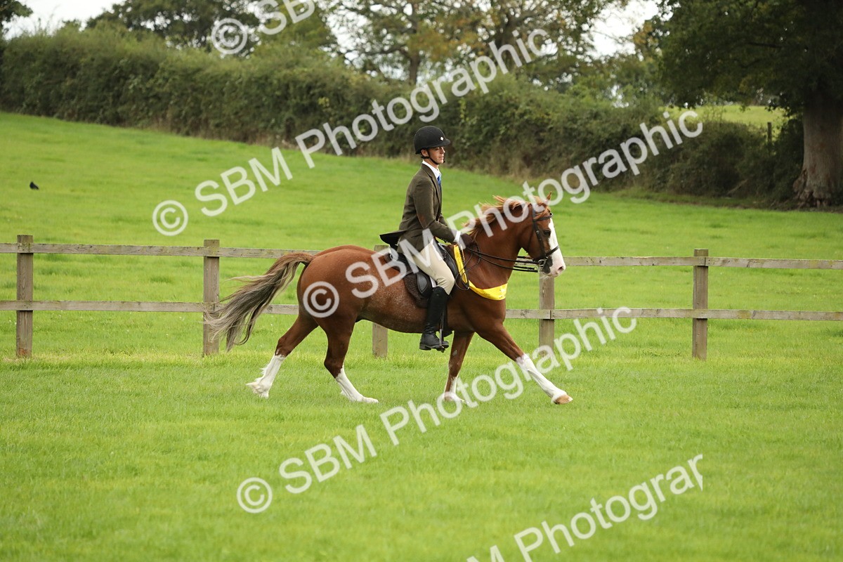 SBM_73881 - S41 - Ridden Equitation (Best Rider)