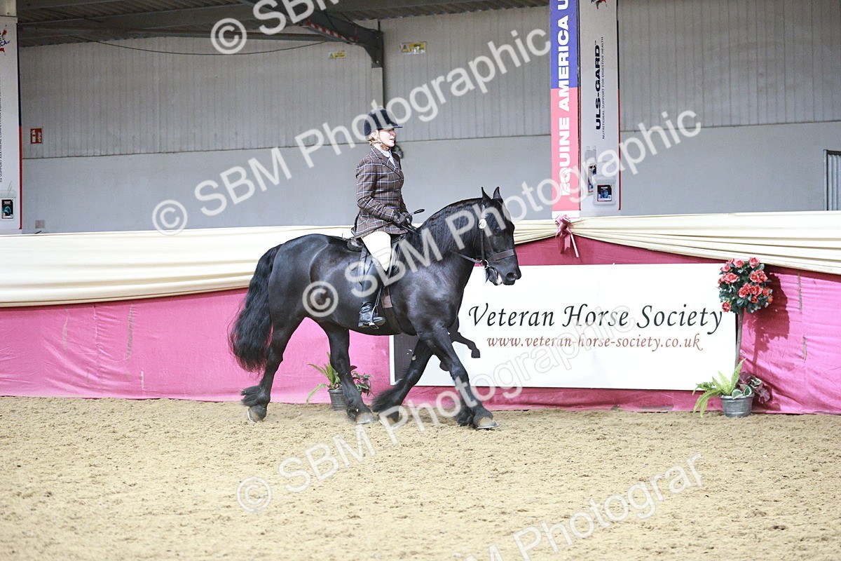 SBM_08754 - Class 12R - Regional Ridden Pre-Vet