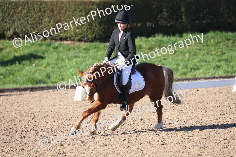 20260214-0281 - Class 3 - Prelim 2