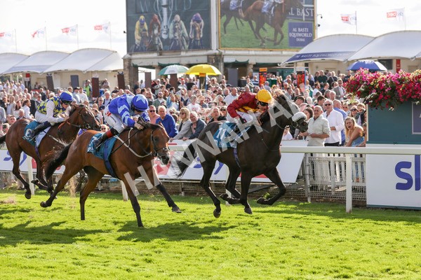240824-Race 6-Tropical Storm-9211 - Race 6 4.45pm Julia Graves Roses Stakes