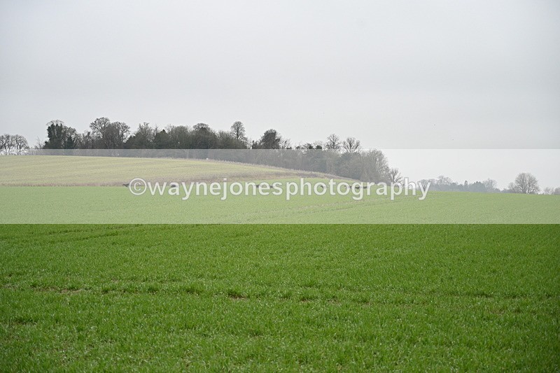 WJ7_9727 - Walk out..