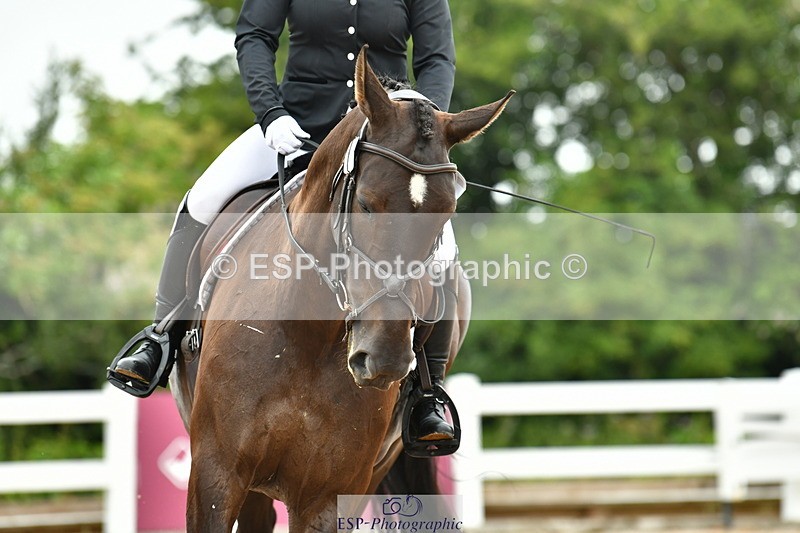 230708A-120524-02710 - Prelim 13