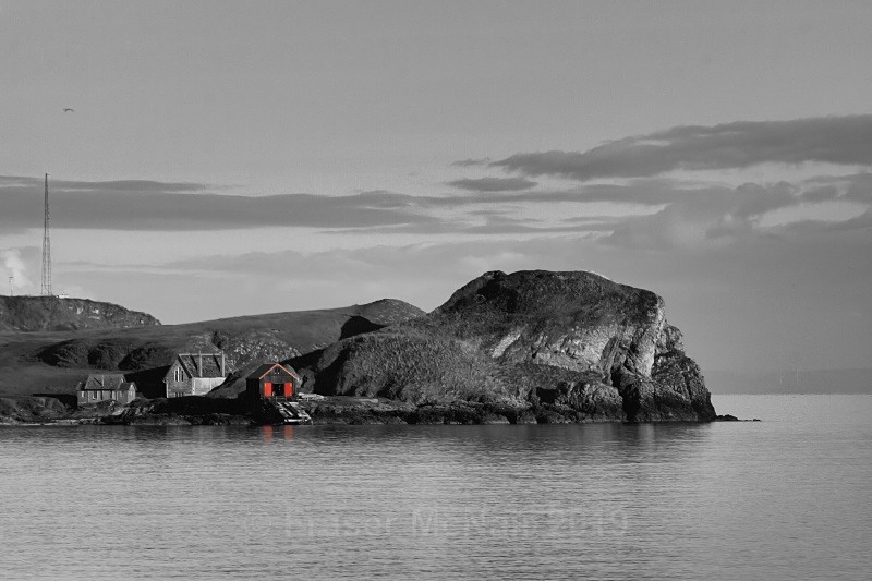DunavertyBW2161010 - Black & White