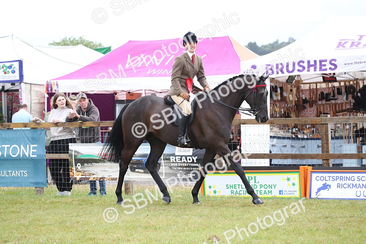 SBM_11475 - Class 94 - LIHS BSHA Racehorse to Showhorse