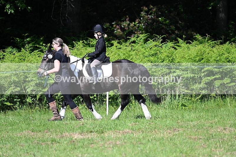 WJ7_0448 - Class 8 First Rally Pony
