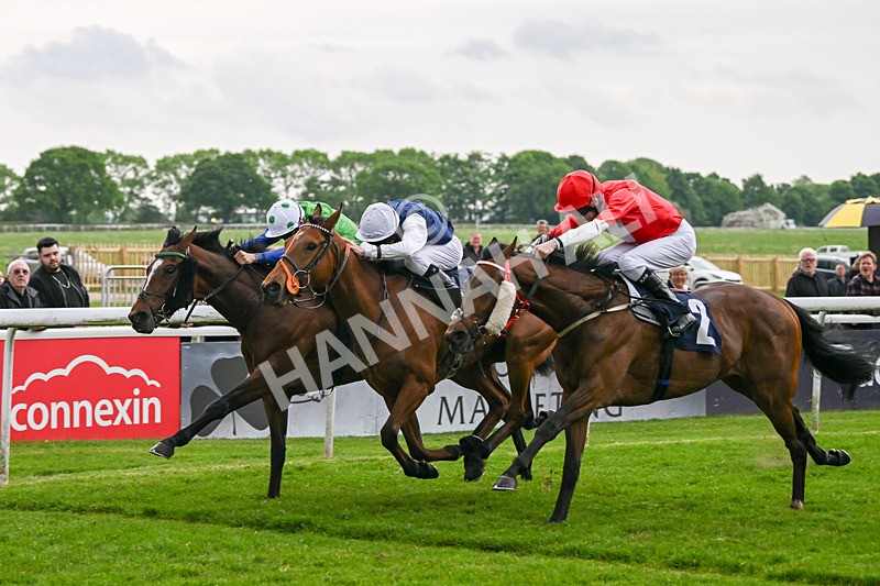 140524-Race 7-Spartan Warrior-3186 - Race 7