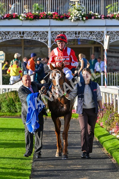 111025-Race 6-Berkshire Sundance-0662 - Race 6 Coral Racing Club Stayers Handicap at York