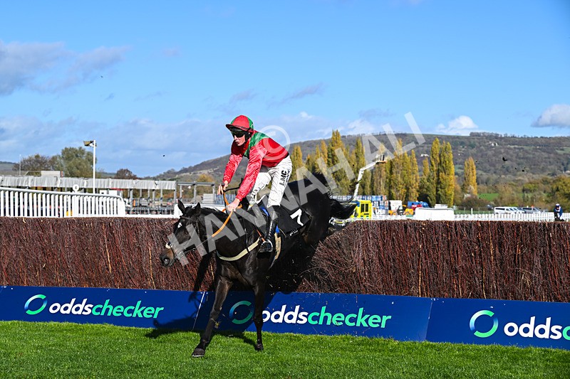 241025-Race 2-Cloonainra-2620 - Race 2