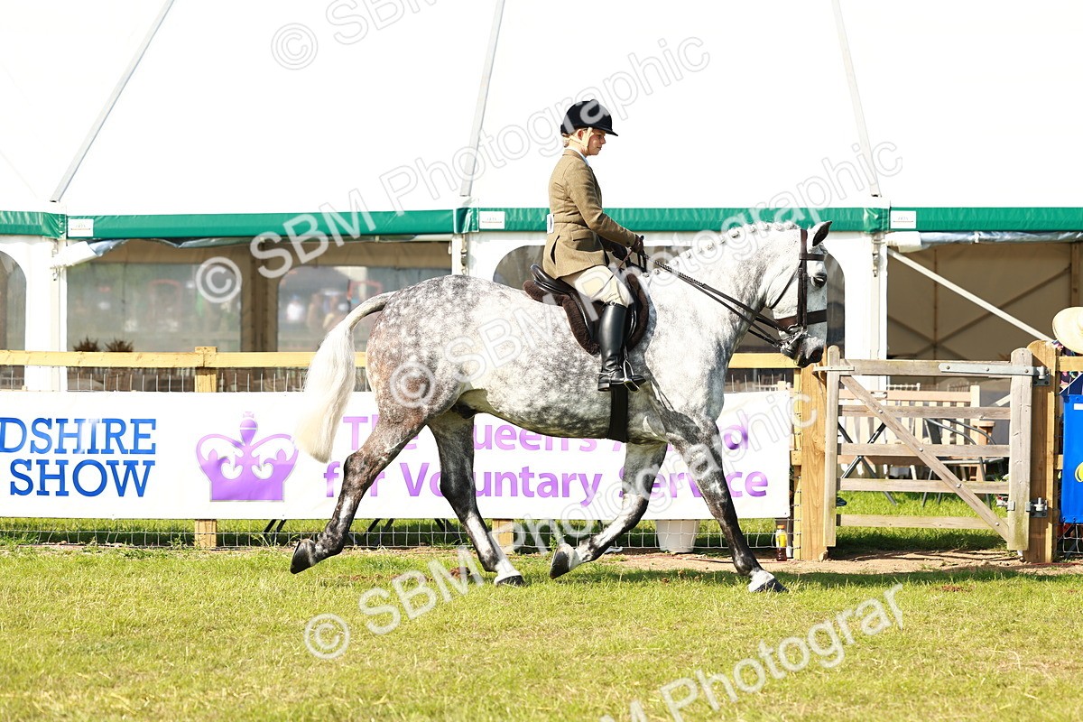 SBM_11745 - Class 66-69 - RIHS Ridden Hunters Inc Small Hunter
