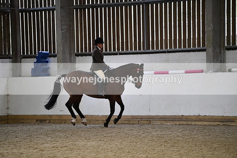 WJ5_6461 - Class 9 Ridden Veteran