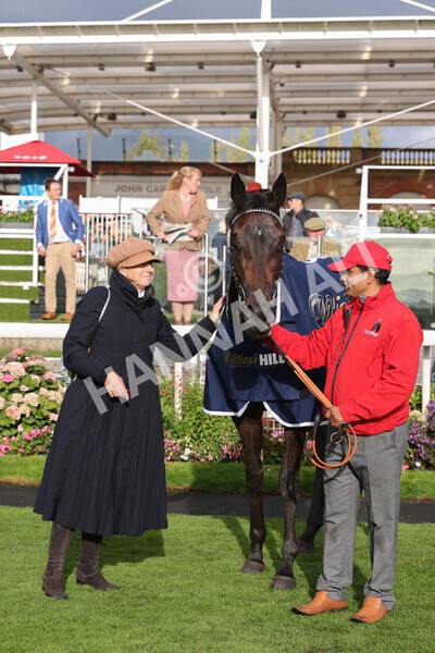 yr07102022r4-71 - Race 4 3.50pm William Hill Best Odds Guaranteed Stakes