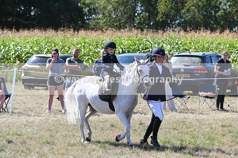 WJ6_7997 - Class 36 Lead Rein