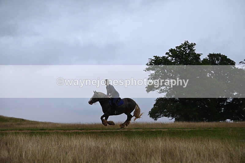 DSC_3293 - Time at Statue 12:59 to 13:49