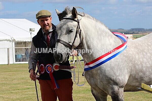 SIAL5294 - overall champion