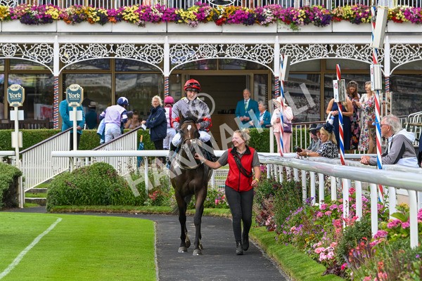 270724-Race 5-Theme Park-7446 - Race 5 4.35pm Sky Bet Prize Drop Handicap