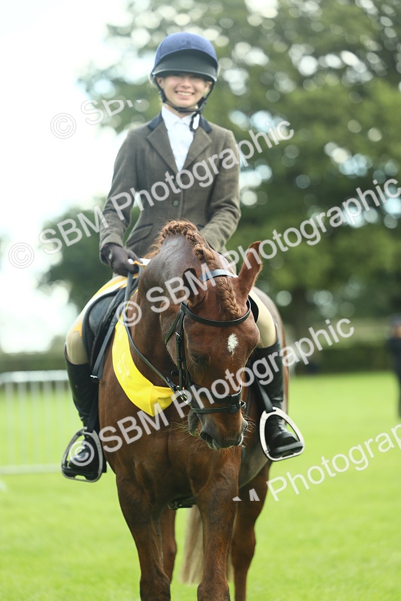 SBM_42193 - S29 - Novice & Newcomers Working Hunter Pony