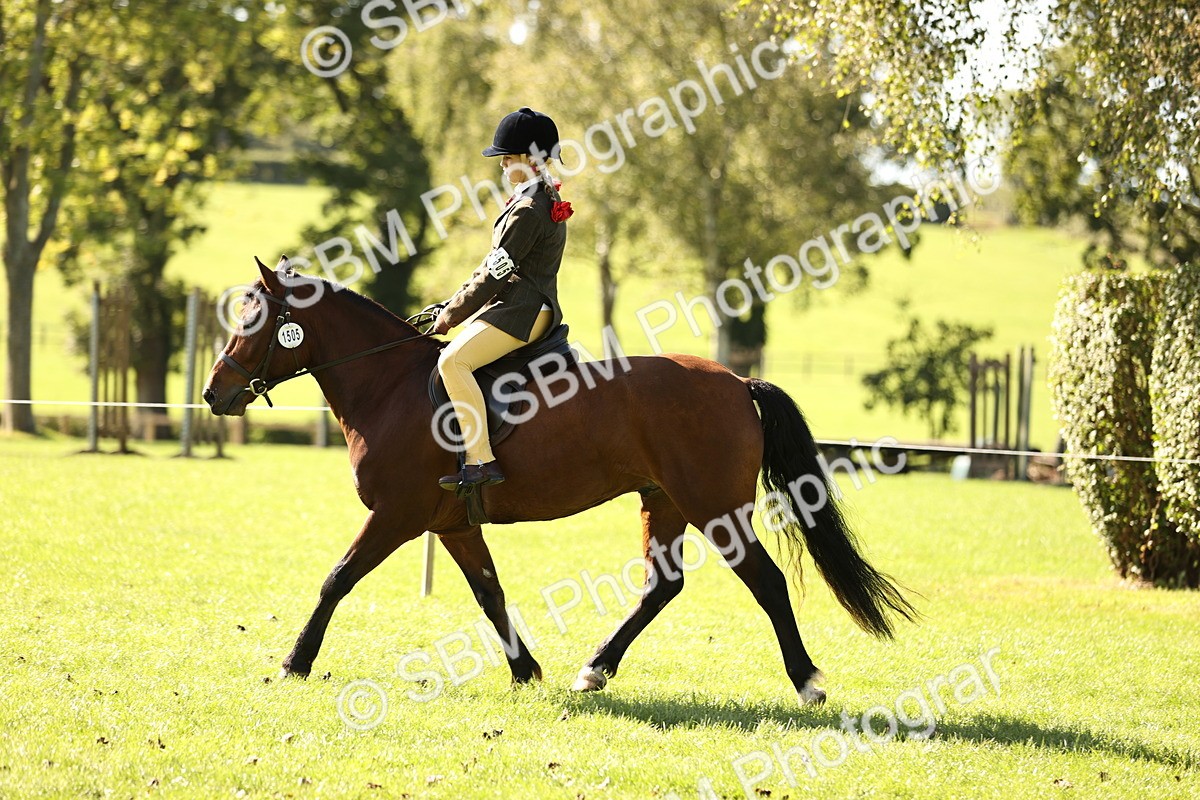 SBM_19100 - S3 - TSR Ridden Pony Showing