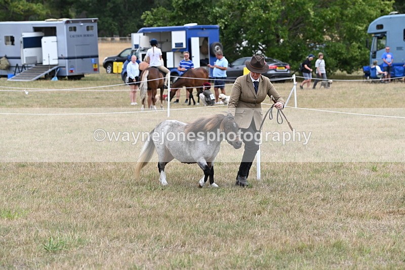 WJ6_5403 - Class 18 In-hand Coloured