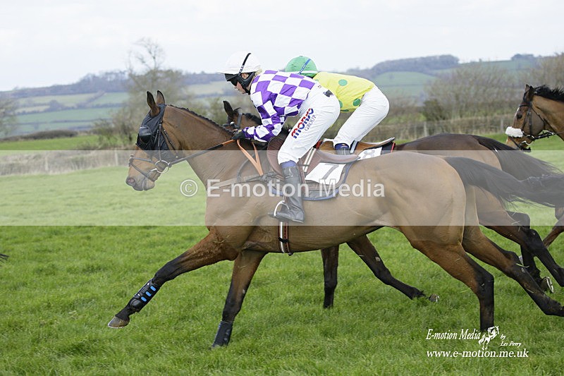 PtP 060322 264 - Blackmore & Sparkford Vale Hunt PtP 06/03/22