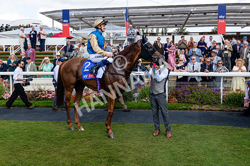 220826-Race 1-Archivist-0263 - Race 1 13.50pm Sky Bet Strensall Stakes