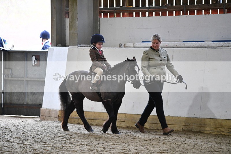 WJ5_6591 - Class 10 Childs Pony