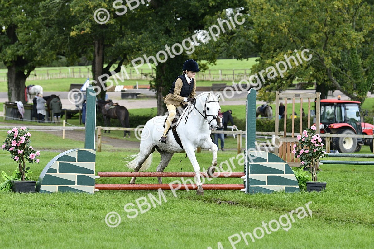 SBM_41550 - S32 - Mountain & Moorland Working Hunter Pony