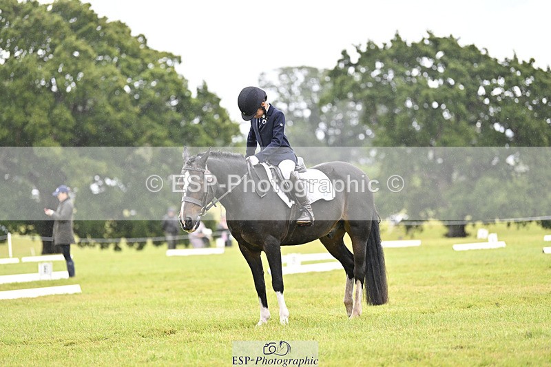 240824X-104308-21777 - D70 Section A and B 9.30 to 10.40