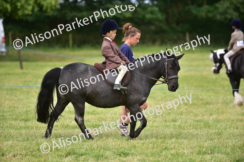 20260614-3642 - Class 15 - Prettiest Mare