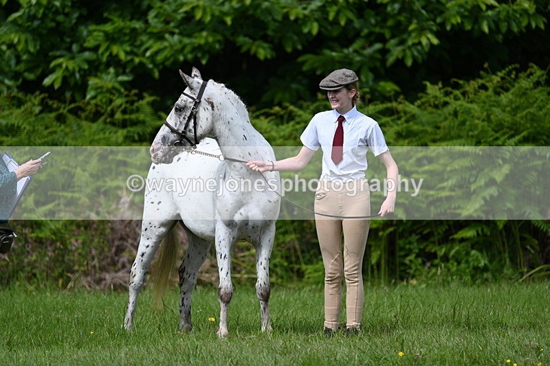 WJ7_1287 - Class 11 Condition & Turnout