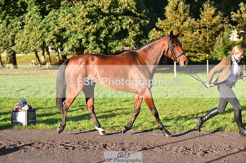 231022-091842-21689 - 650-NAOMIE.VAN.DE.BROUWERSHOEVE-Lara.Salter-TrotUp+SJ