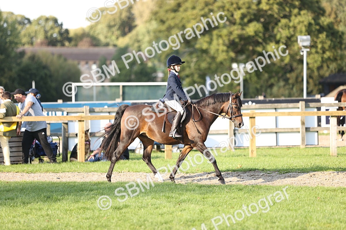 SBM_29465 - S7 - Novice & Newcomers Ridden Pony