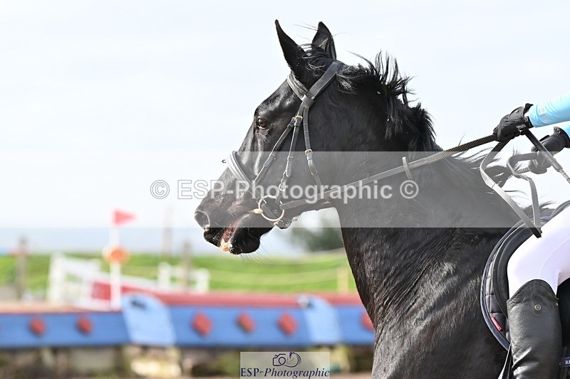 240127A-123854-00932 - AE 70cm