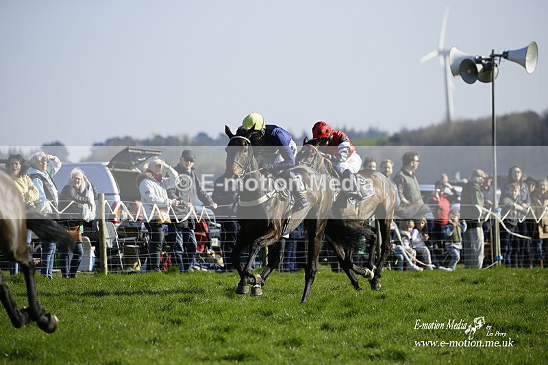 PtP 190322 734 - Wilton Hunt PtP Milborne St Andrew 19/03/22