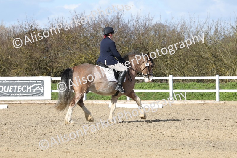 20260314-5000 - CT6 - Elementary 1