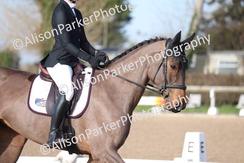 20260128-0339 - Class 3 - Novice 4