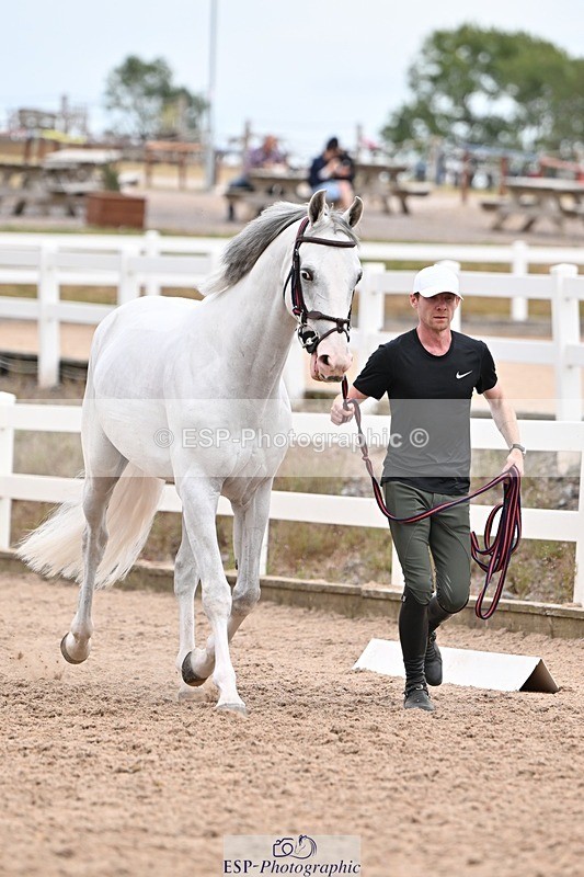 250716-154957-02209 - Trot Up 3.30 to 4.30