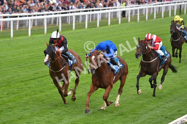 yr22072022r2-35 - Race 2 5.50pm eventmasters.co.uk Stakes