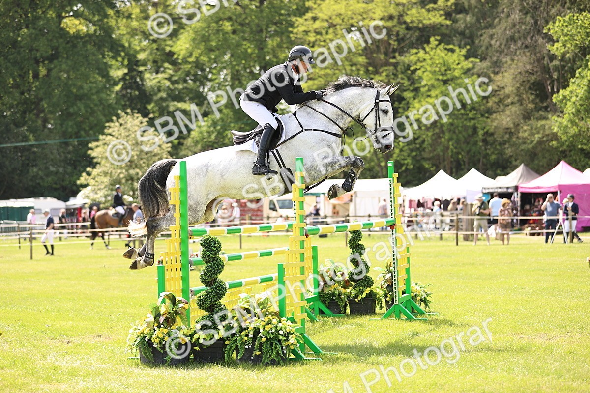SBM_03276 - Class 201 - British Horse Feedds Speedi Beet HOYS Grade C