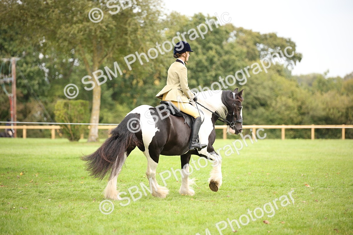 SBM_73514 - S68 - Traditional Cob Ridden