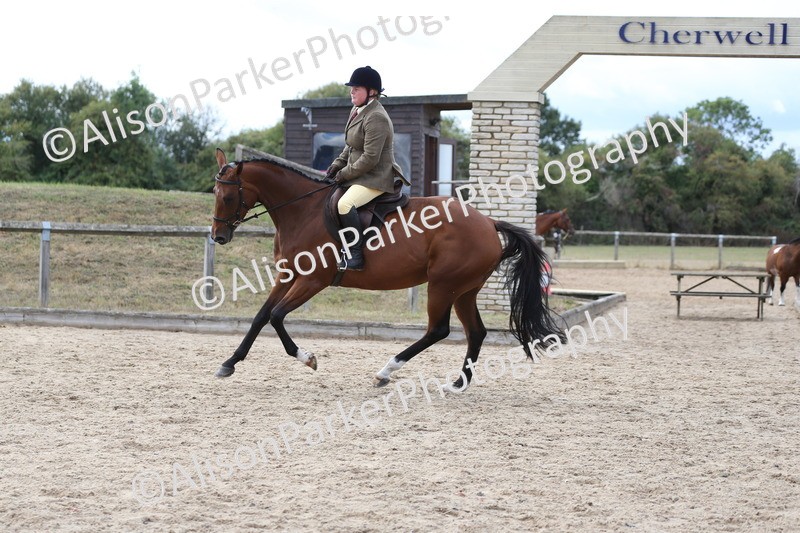 20260831-2627 - Class 15 - Ridden Retraining of Racehorses