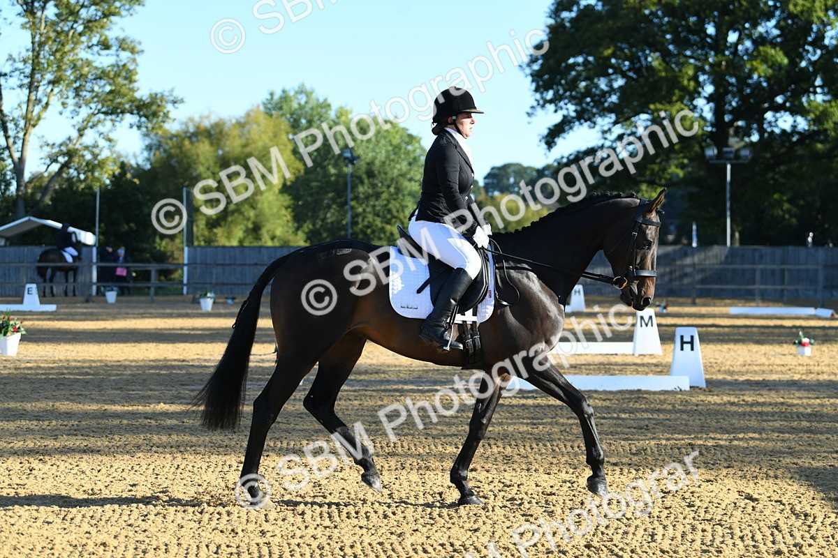 SBM_14402 - D4 - Small Tour Championship - Intro B